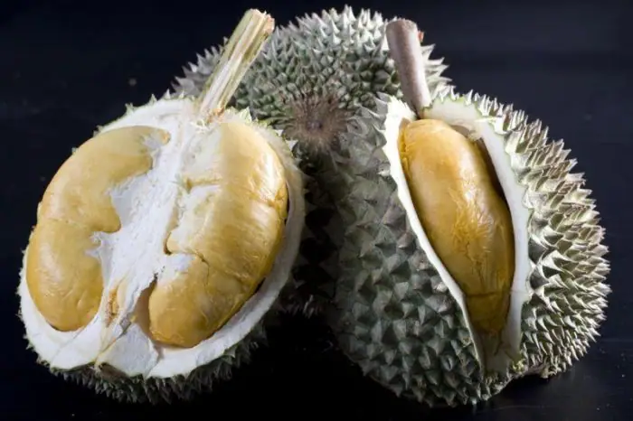 Durian Duri Hitam (Black Thorn)